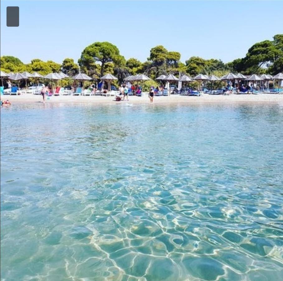 Athens Villa Artemis Pool Sea Airport Экстерьер фото