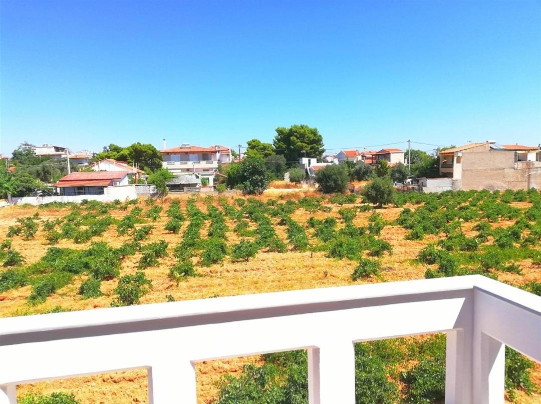 Athens Villa Artemis Pool Sea Airport Экстерьер фото